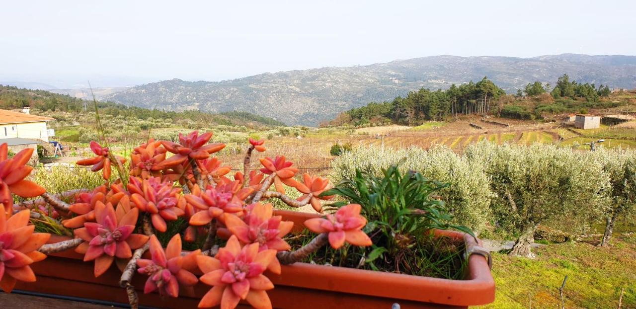 Hotel Outros Tempos - Turismo De Aldeia Aricera Exteriér fotografie