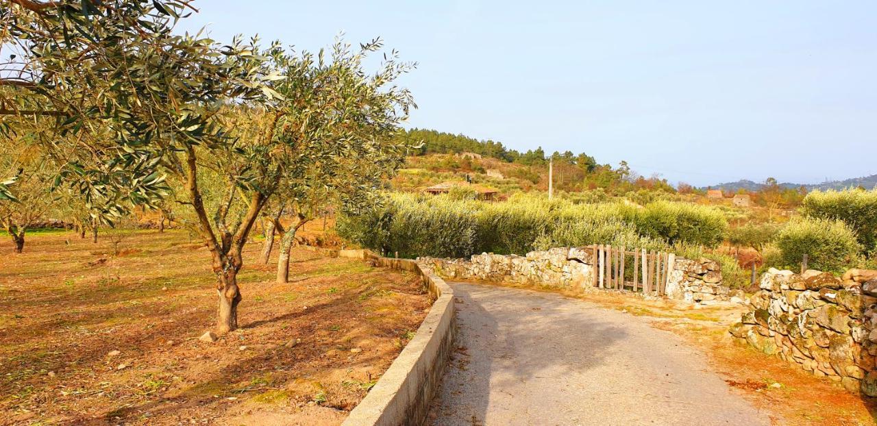 Hotel Outros Tempos - Turismo De Aldeia Aricera Exteriér fotografie